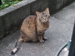 「ご苦労さん」♪