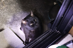 興味津々♪