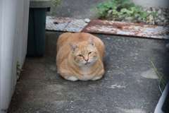 いつもの顔♪