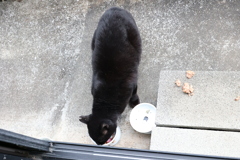 舌が出た（大好物）♪
