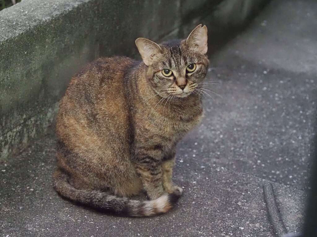 「出待ち」（AM5：12）♪