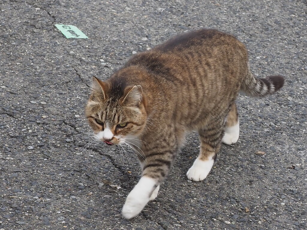 「歩き出す」♪
