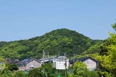 「だんだら模様」♪