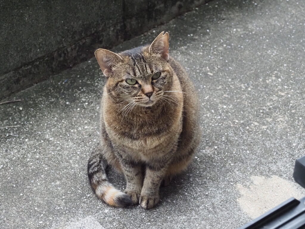 「ご苦労さん」♪♪