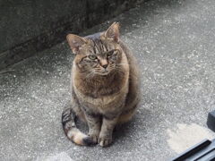 「ご苦労さん」♪♪