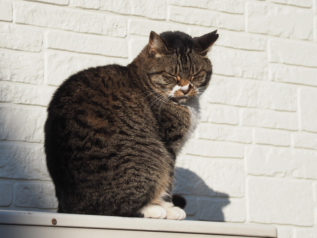 眠い♪