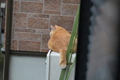 食事のあと♪