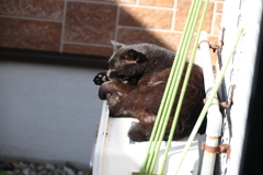 定位置♪
