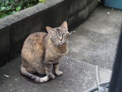 「雨上がる」♪