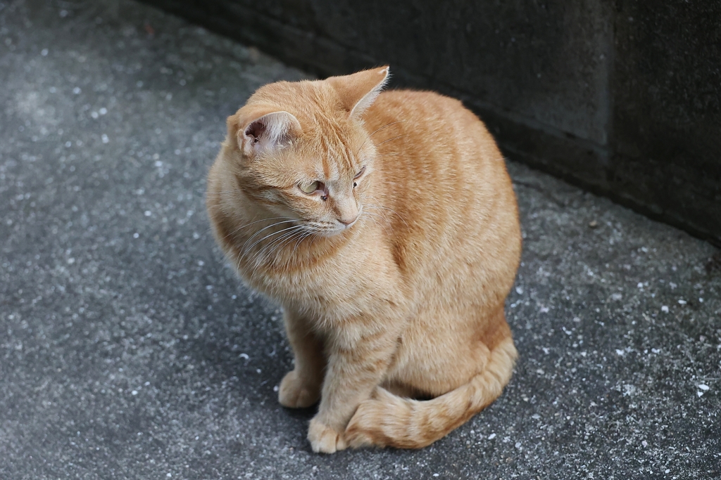 来てる来てる♪