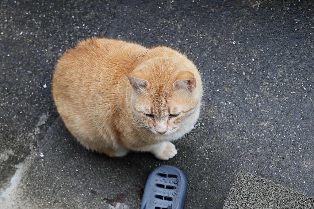 ２番手（怒り顔）