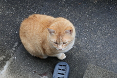 ２番手（怒り顔）