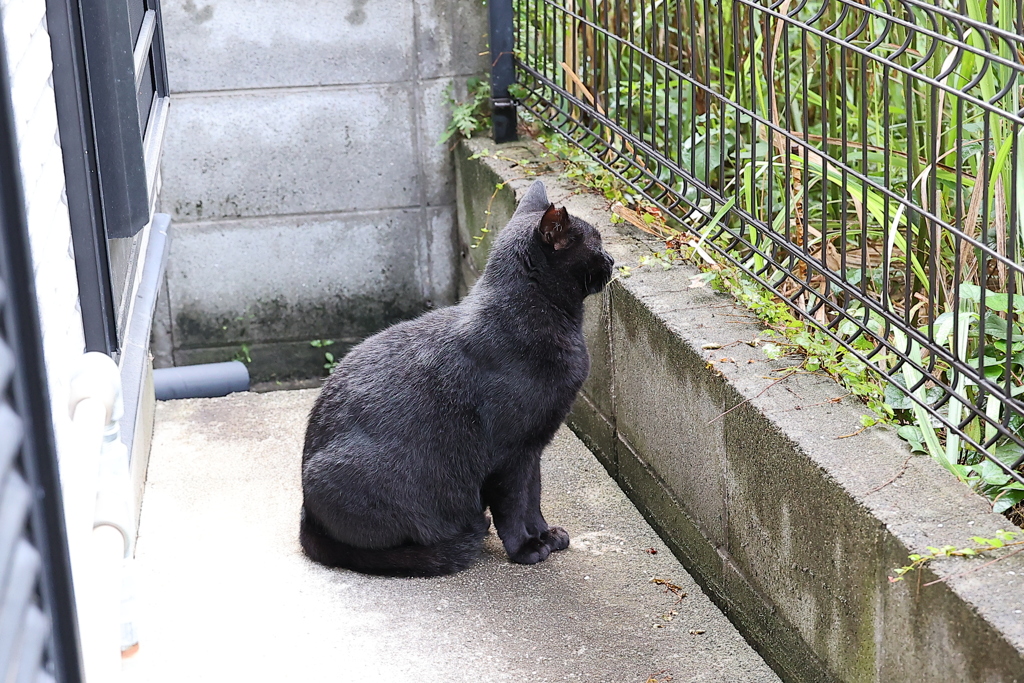 雨上がりを待つ♪