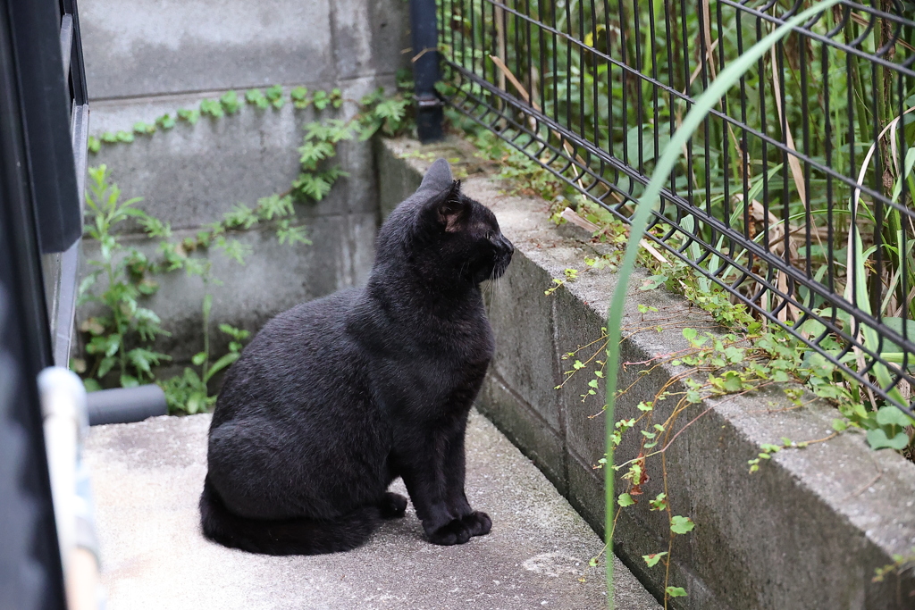 餌待ち姿勢♪