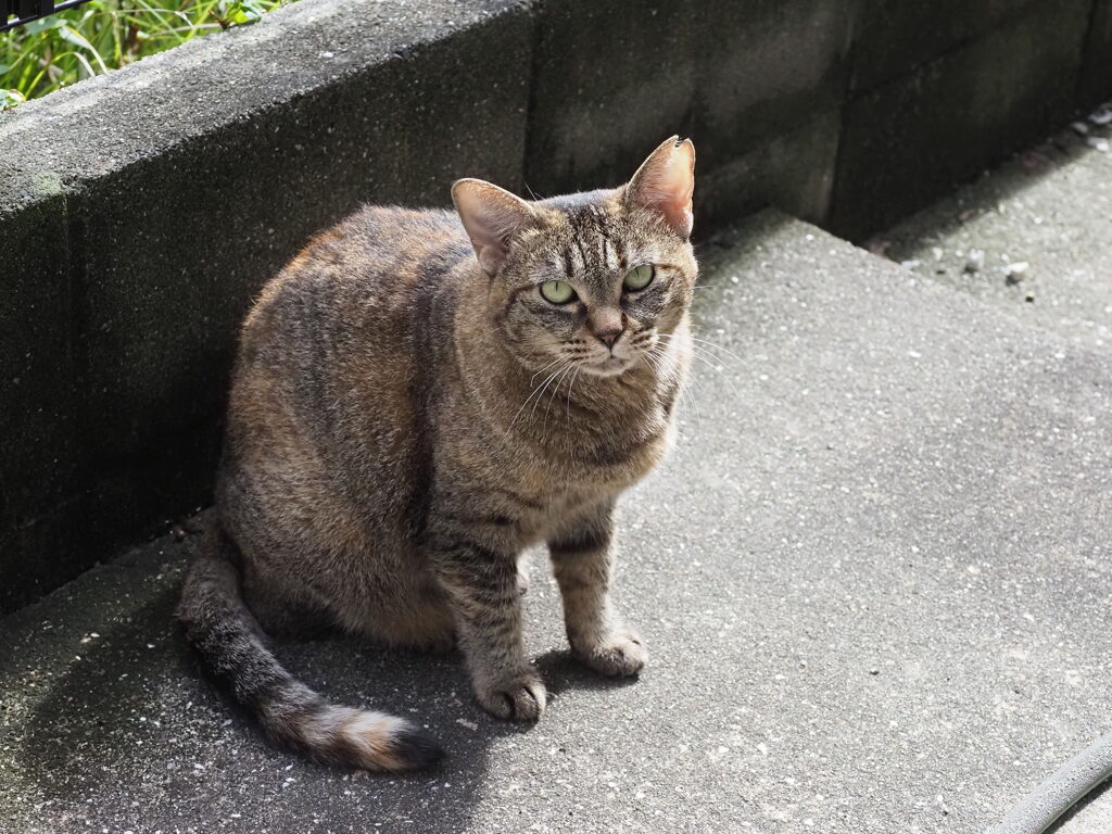 「荒天のあと」♪