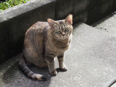 「荒天のあと」♪