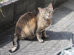 「4日ぶり」♪