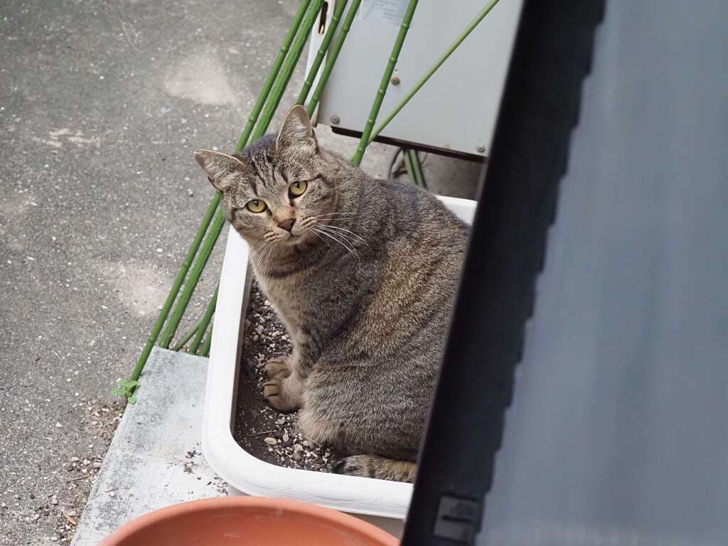 そこに居たか♪