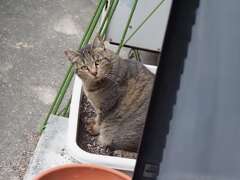 そこに居たか♪