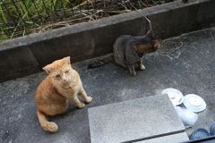 餌欲しい顔♪