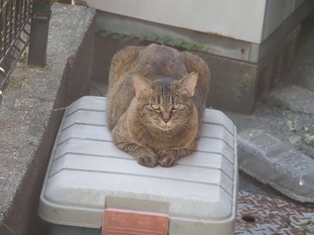「食後の休憩」♪