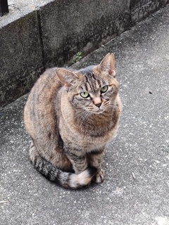 「3回目かいっ」（大食漢）♪