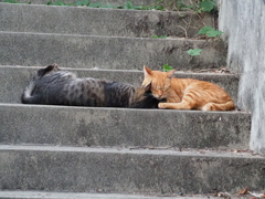 「仲良し♡」♪