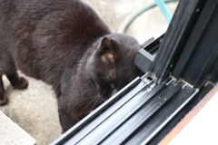 擦りつけ♪