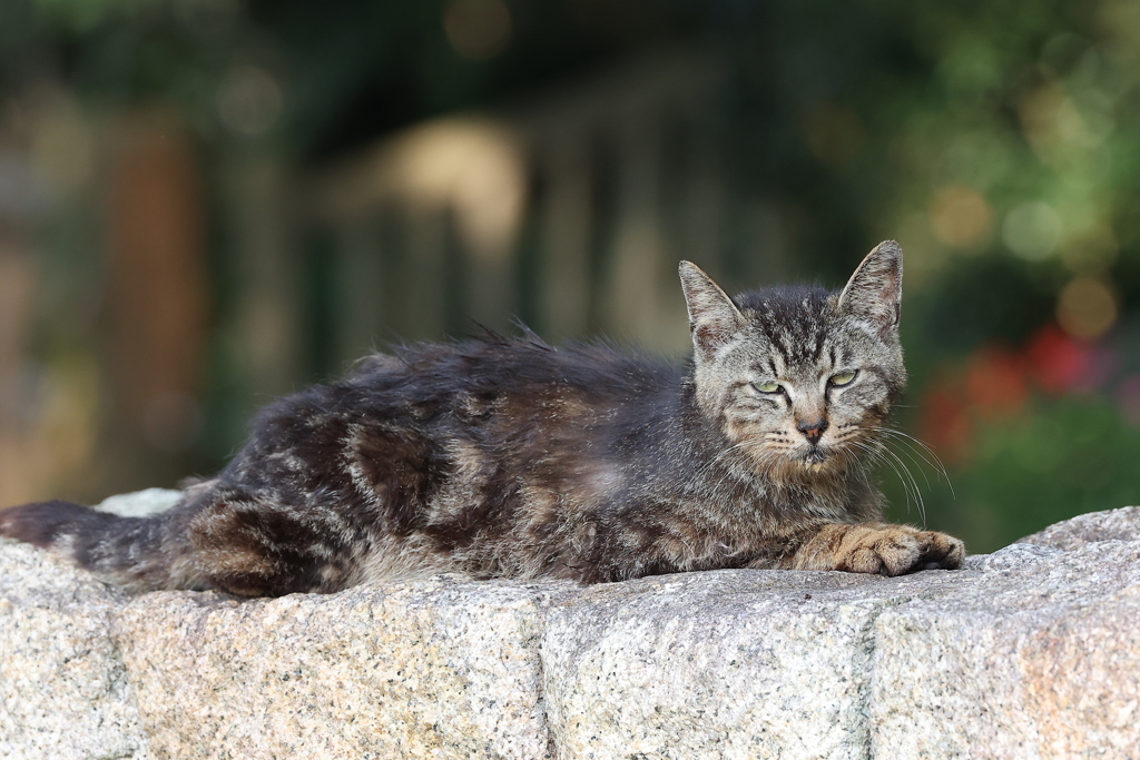 公園の外れで♪