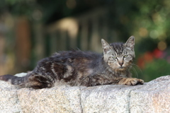 公園の外れで♪