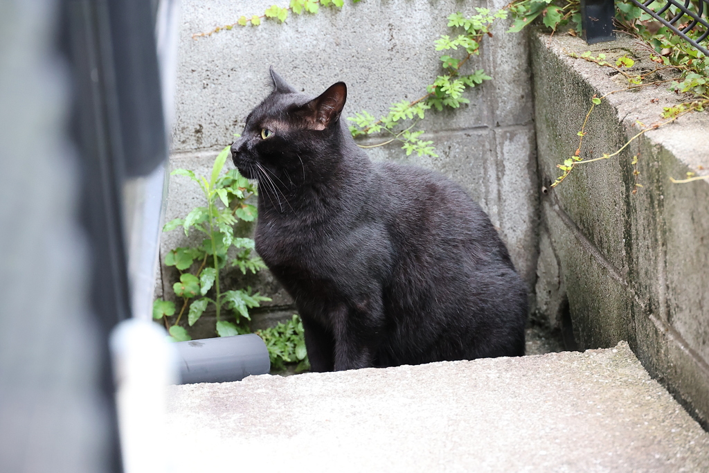 その手に乗らない♪