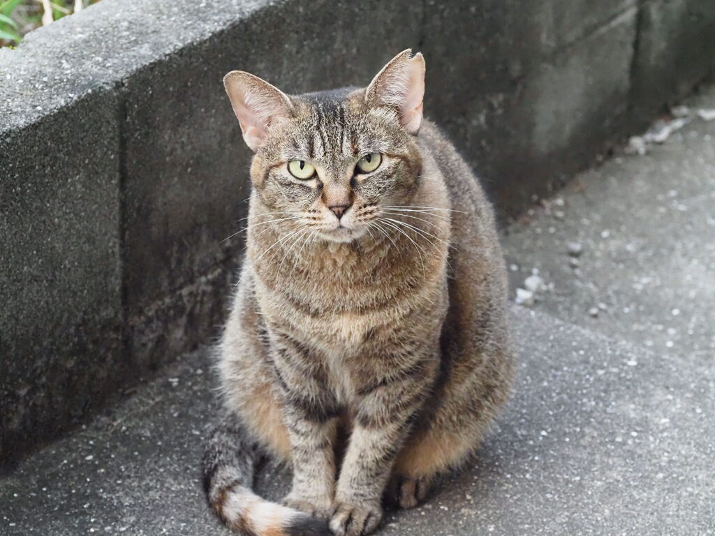 「夏の終わりに」♪