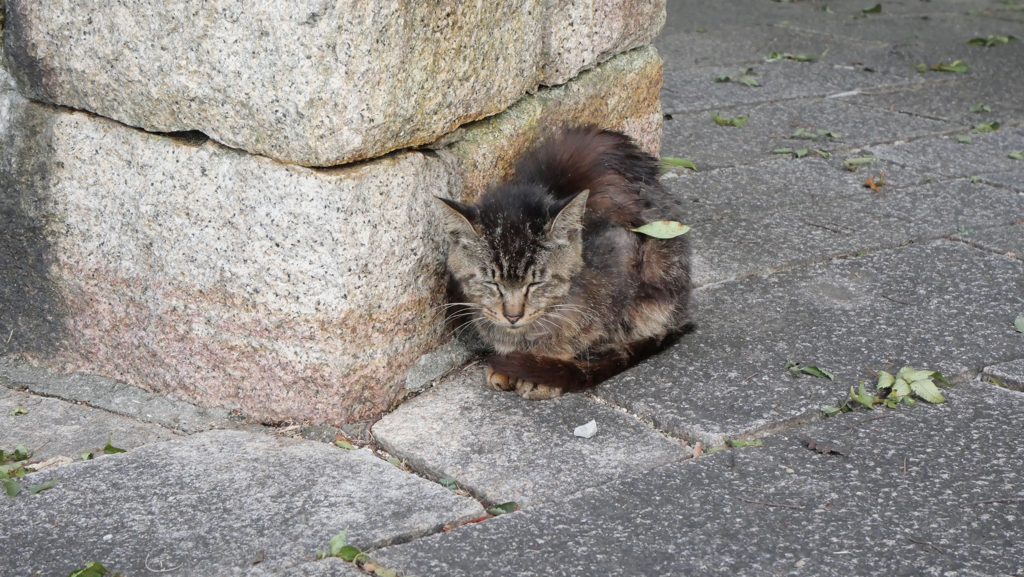 うずくまる♪