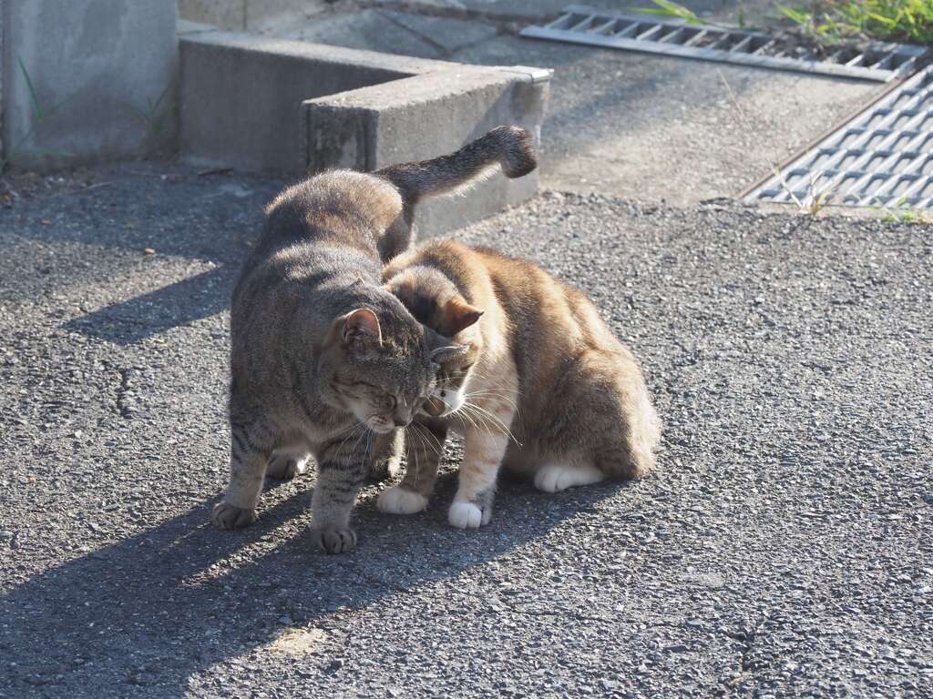 「あいさつ」♪
