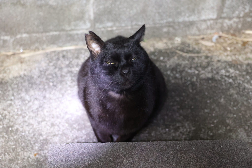 3時台の顔♪