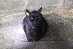 3時台の顔♪