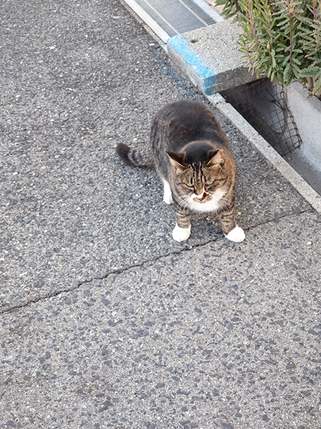 「道すがら」（1）♪