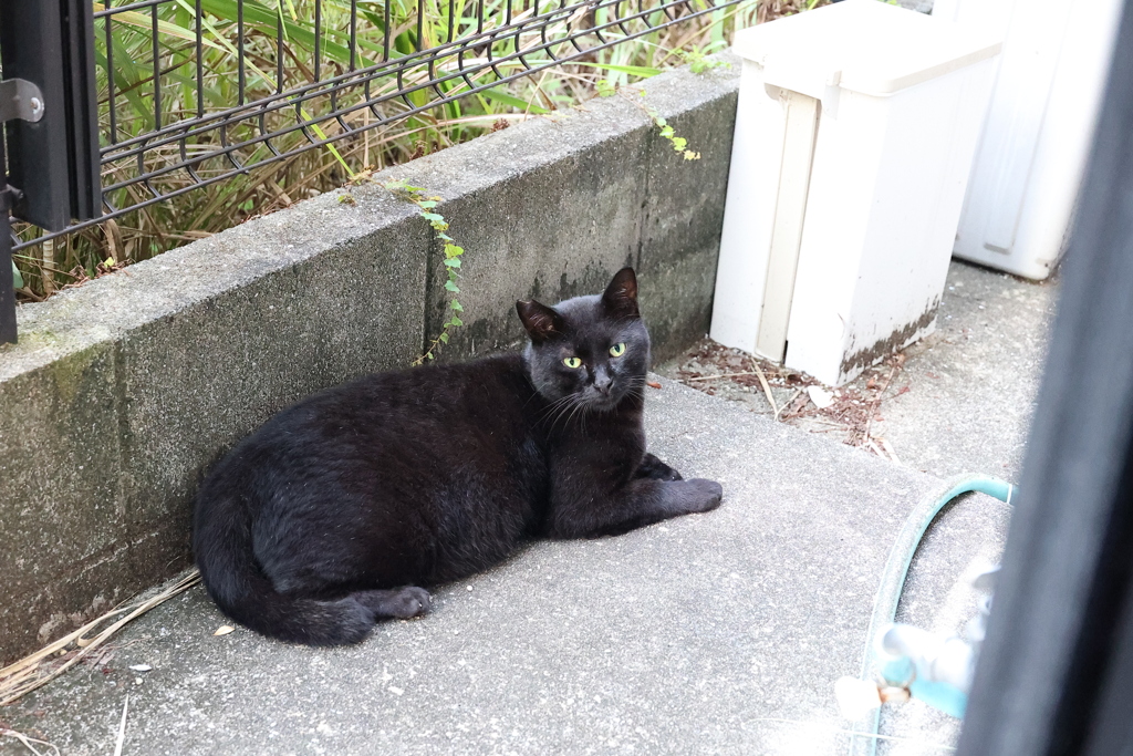 ８月の終わりに♪