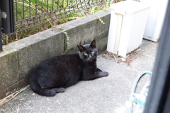 ８月の終わりに♪