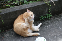 食後のひととき♪