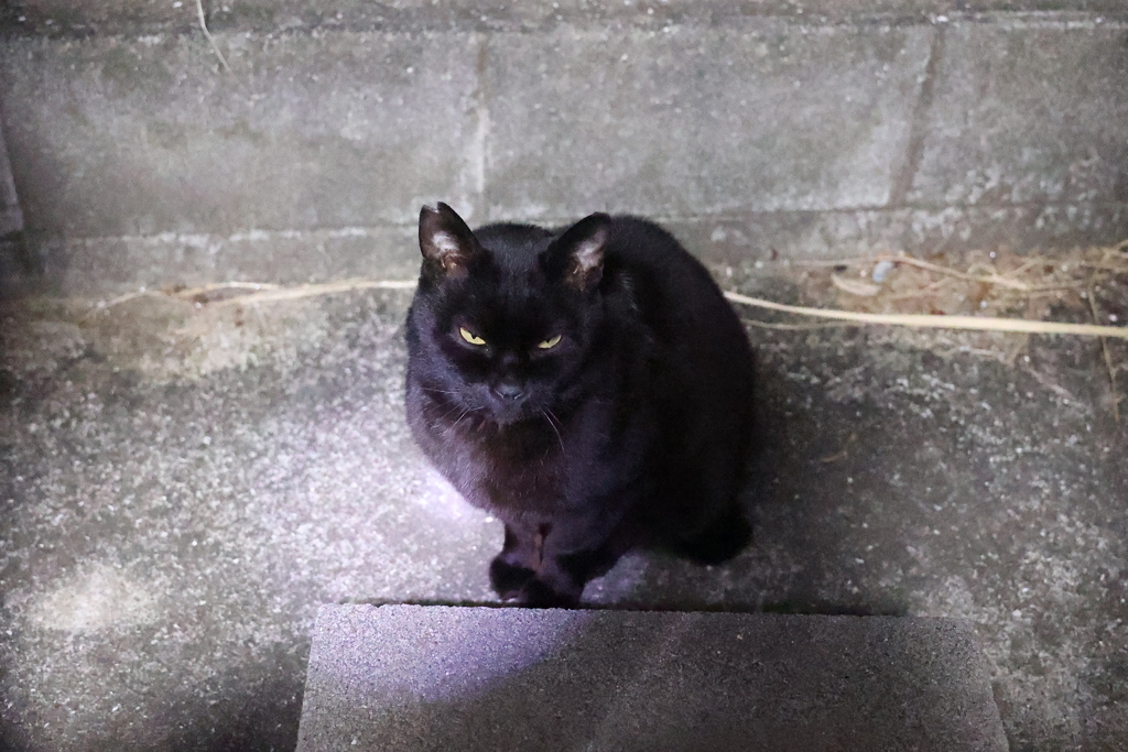 餌待ち♪