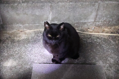 餌待ち♪