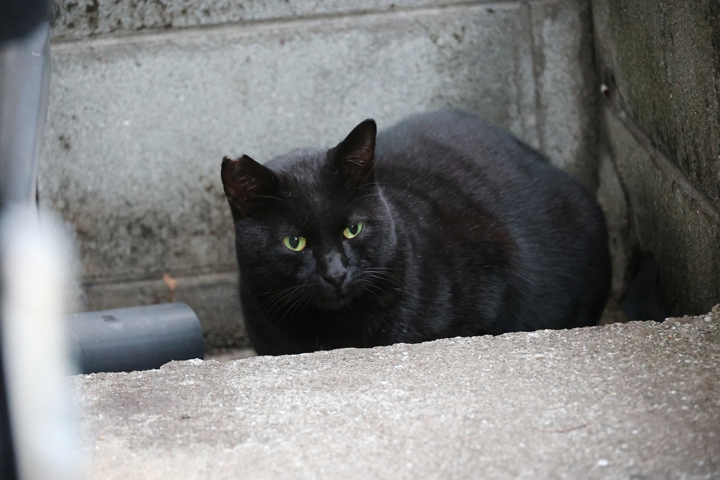 食いしん坊♪