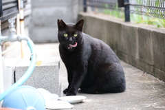 美味かった～♪