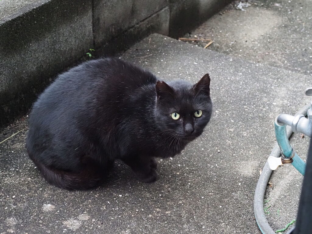 今日も来たぞ♪