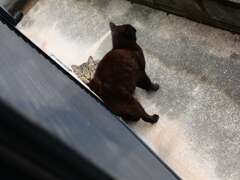 外が気になる、内が気になる♪