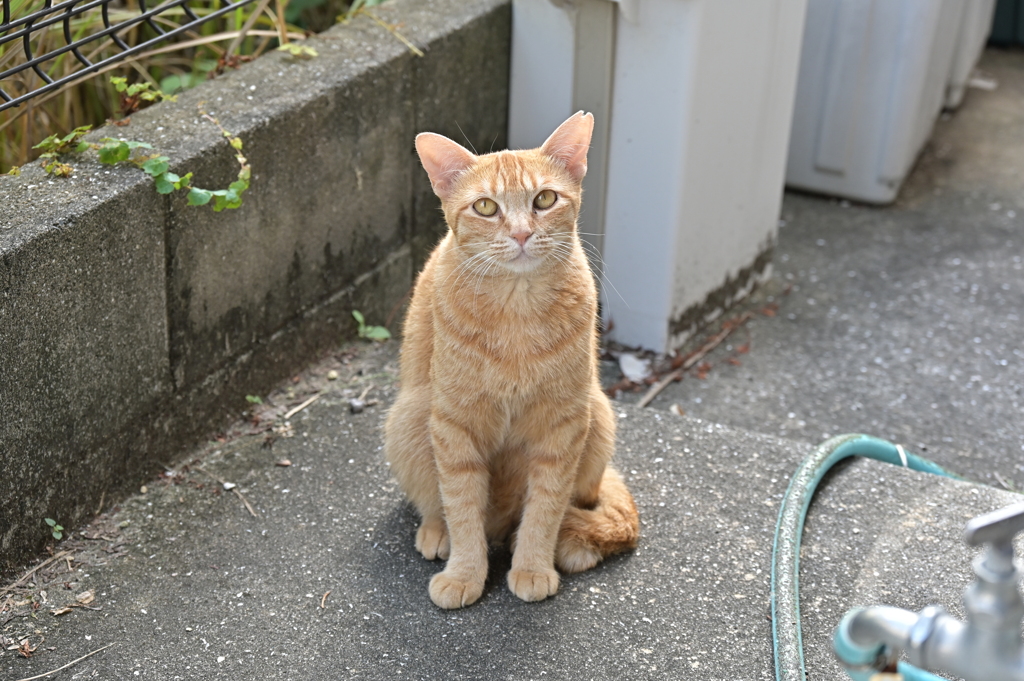 よく来たね（８月編）♪