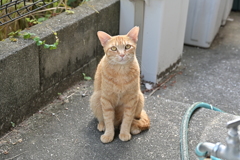 よく来たね（８月編）♪