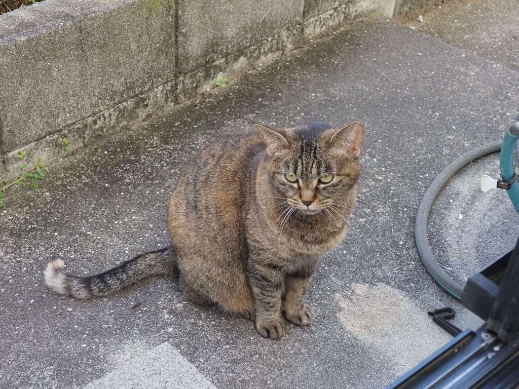 「ぽかぽか」♪