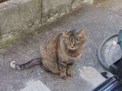 「ぽかぽか」♪